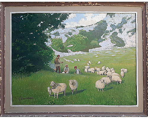 Ovce na paši, Velebit