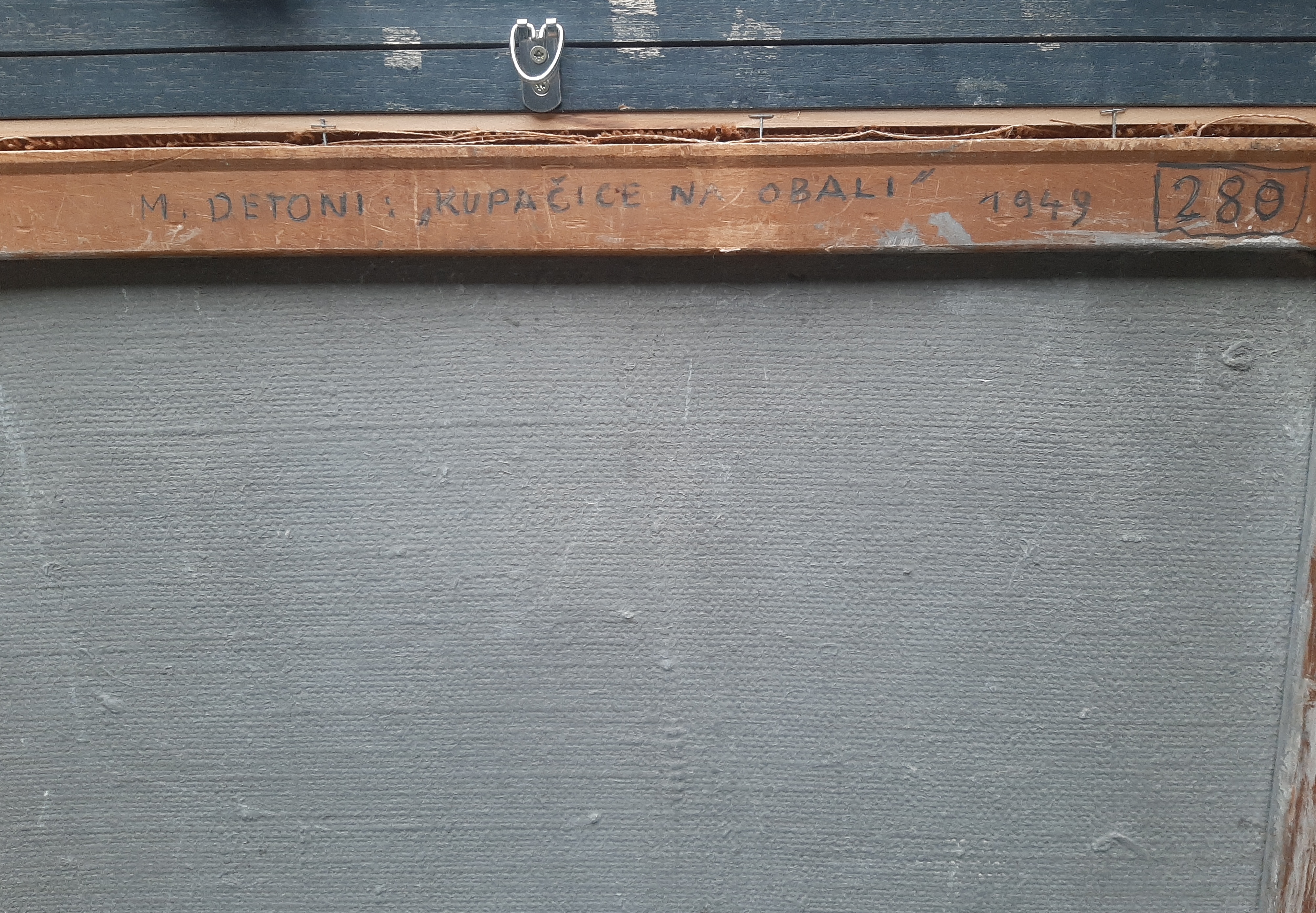 Kupačice na obali Kupačice na obali