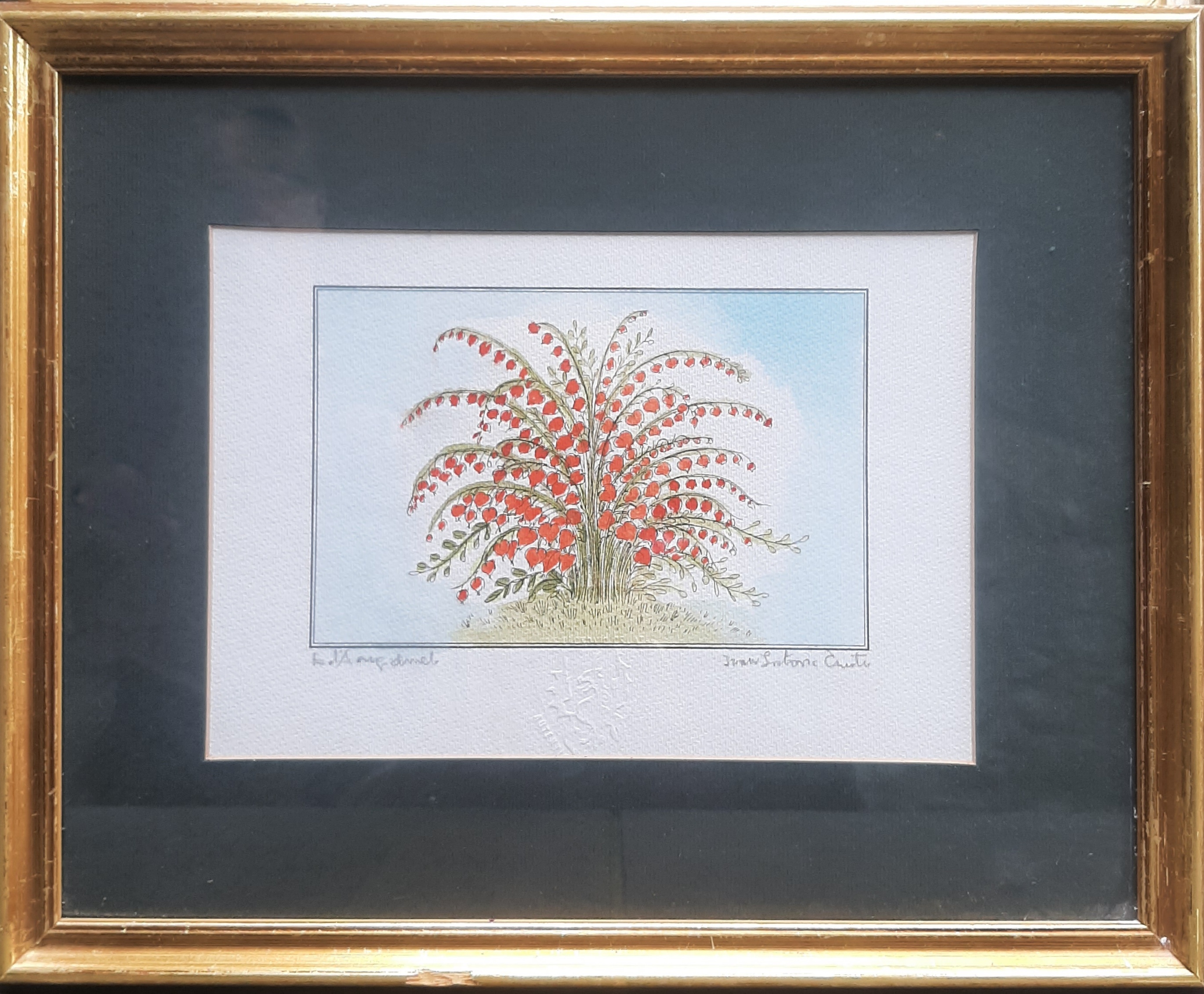 Crveno cvijeće Crveno cvijeće